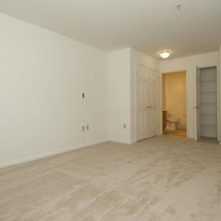 A minimalist interior with carpeted flooring and doors leading to adjoining spaces.