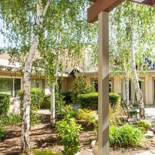 A peaceful garden area with lush greenery and trees surrounding a building's patio.