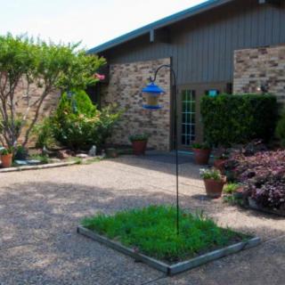 A modern house with a small garden and various plants in the yard.