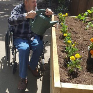 A person in a wheelchair is watering flowers in a raised garden bed outdoors.