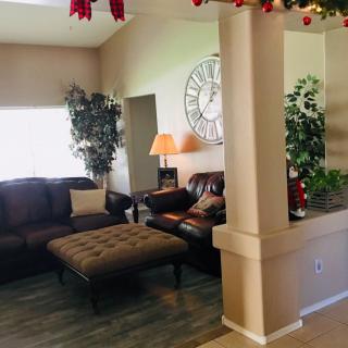 A cozy living room with a brown sofa, indoor plants, and decorative elements.