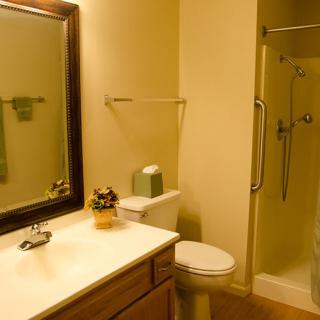 A clean and well-lit bathroom featuring a sink with a large mirror, a shower with safety bars, and a toilet.