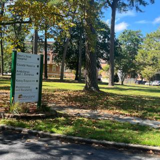 A sunny day in the park featuring a directional sign amidst lush trees.