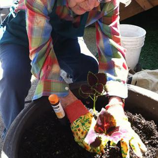 A person is planting a small plant in a pot, wearing colorful gardening gloves.