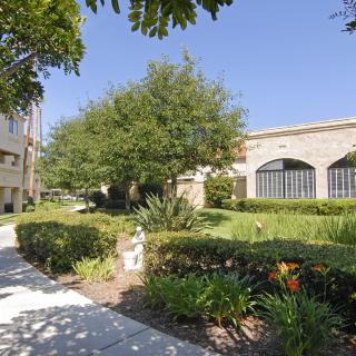 A sunny walkway surrounded by lush greenery and modern buildings.
