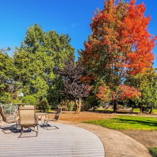 A serene outdoor setting with a wooden deck, surrounded by vibrant autumn foliage.