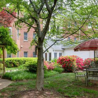 A serene garden with a tree and seating area featuring a table, chairs, and an umbrella.