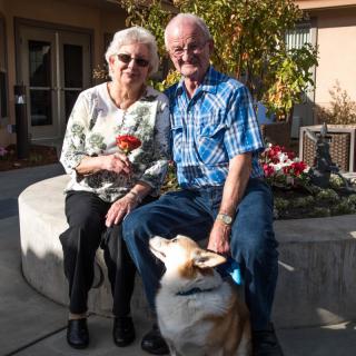 An elderly couple sitting together outside with a dog on a sunny day in the garden.