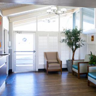 A bright and modern waiting room featuring comfortable seating and indoor plants.