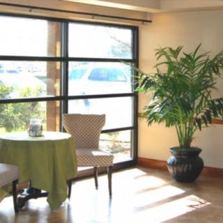 A cozy, sunlit interior with a small table and chairs next to large windows and a potted plant.