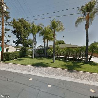 Whispering Palms