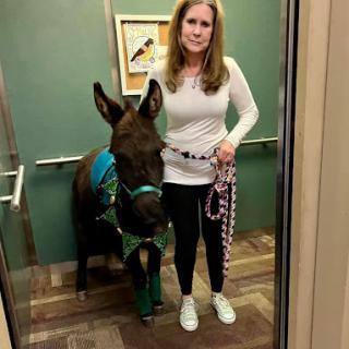 A woman in an elevator with a miniature horse, showcasing the bond between humans and animals.