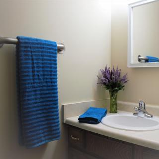 A neatly organized bathroom with a blue striped towel, a sink, and a vase of flowers on the countertop.
