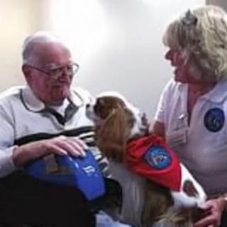 An elderly man interacts with a therapy dog, accompanied by a woman.