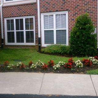 A landscaped garden with flowers and a shrub in front of a brick building with large windows.
