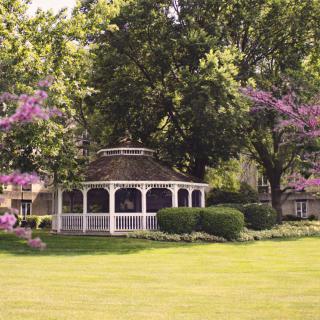 A picturesque gazebo surrounded by lush greenery and flowering trees in a serene garden setting.