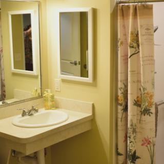 A well-lit bathroom featuring a sink with two mirrors and a decorative shower curtain.
