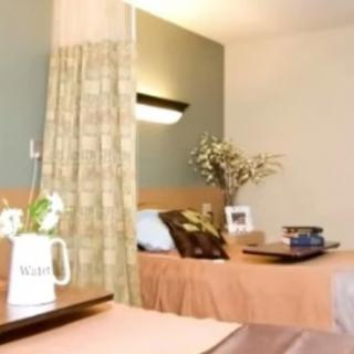 A cozy bedroom interior with a bed, decorative plants, and soft lighting.