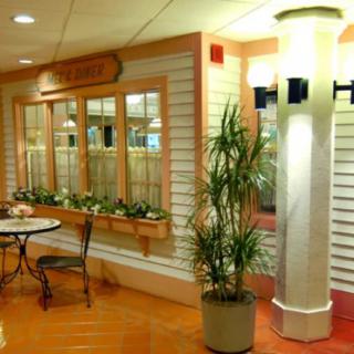 A cozy indoor space with a small table, chairs, and decorative plants.