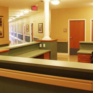 A spacious reception area with a green counter and warm-colored walls, designed for an inviting atmosphere.