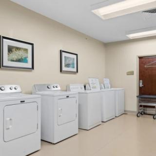 A clean, organized laundry room with multiple washing machines and dryers lined up against the wall.
