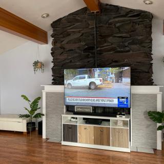 A modern living room with a mounted television above a fireplace, featuring wood flooring and decorative plants.