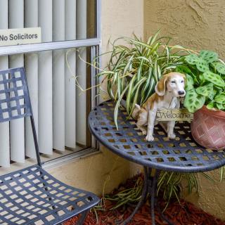 A small dog sits on a patio table next to a potted plant.