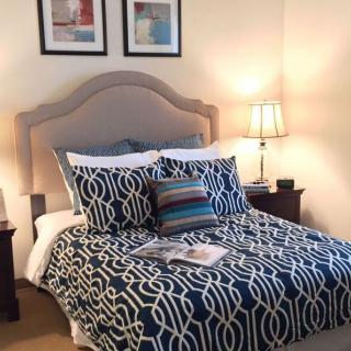 A cozy bedroom with a patterned bedding set, featuring two pillows and a small decorative pillow, flanked by nightstands each with a lamp.
