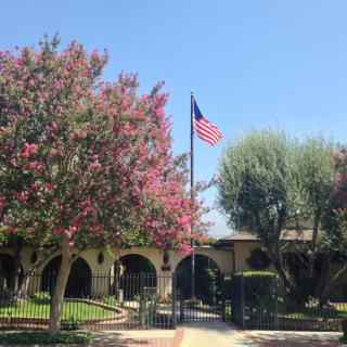 A sunny day at a building with an American flag and blooming trees.