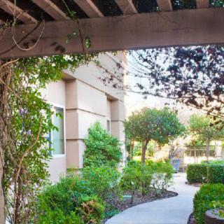 A scenic garden pathway surrounded by lush greenery and a building.