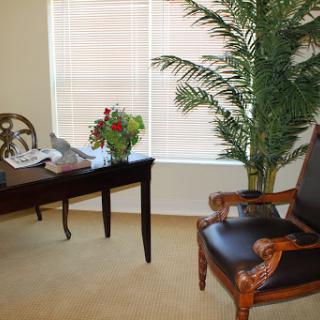 A cozy office space featuring a desk, chair, decorative plant, and natural light from the window.
