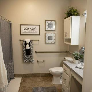 A modern bathroom with gray accents, featuring wall art and decorative plants.