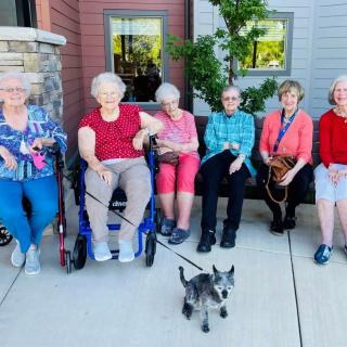 A group of seniors sitting outside with a small dog in front of them.