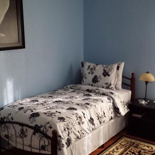 A cozy bedroom with a single bed, floral bedding, and blue walls.