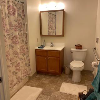 A bathroom with a vanity, toilet, and floral shower curtain.