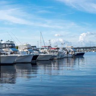 A serene marina with boats docked under a clear blue sky.