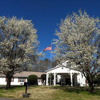 A picturesque scene featuring a white building framed by flowering trees and an American flag waving in the breeze against a clear blue sky.