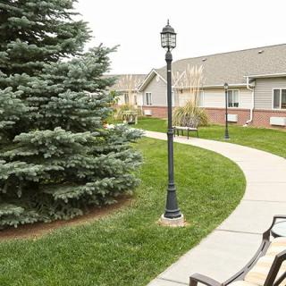 A scenic pathway with a lamp post and benches, lined by a lush green lawn and a tall pine tree, leading to a building.