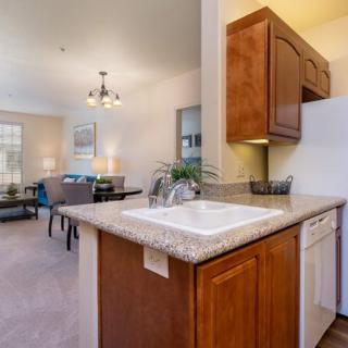 A modern open-plan kitchen and dining area with wooden cabinetry and a spacious countertop.
