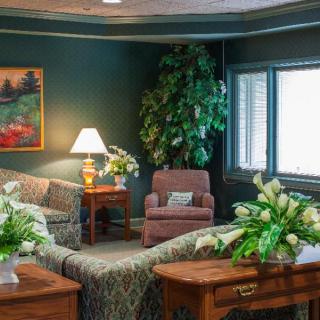 A cozy living room with a sofa, armchair, and decorative plants.