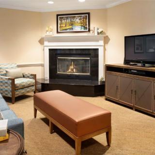 Cozy living room with a fireplace and modern furnishings.