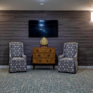 A cozy living room setup featuring two patterned chairs flanking a wooden cabinet with a decorative piece, all set against a dark paneled wall with a mounted television.