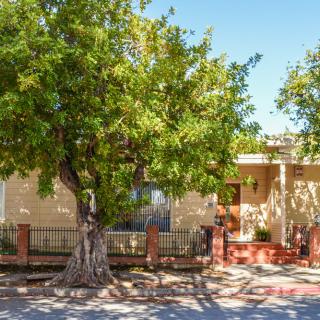 A suburban house with a large tree in the front yard.