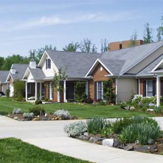 A row of suburban homes with well-maintained gardens and driveways.