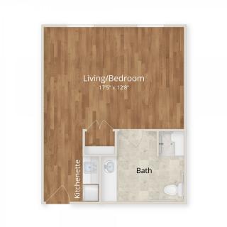 A floor plan of a studio apartment featuring a living/bedroom space and a bathroom.