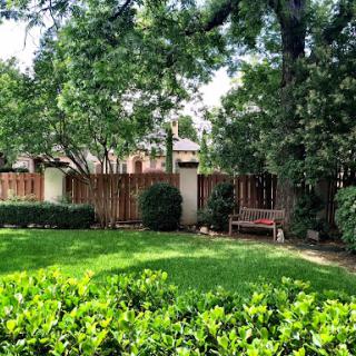 A serene garden space featuring a well-maintained lawn, surrounded by lush greenery and a wooden bench.