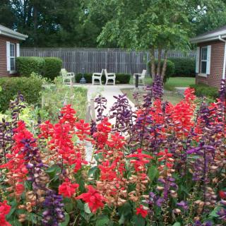 A vibrant garden courtyard with a variety of colorful flowers in bloom.