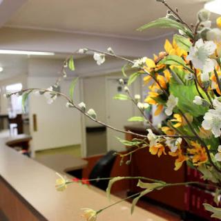 A beautifully arranged floral display in a welcoming reception area.