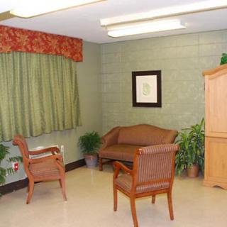 A cozy waiting room with chairs and a small couch, decorated with plants and artwork.