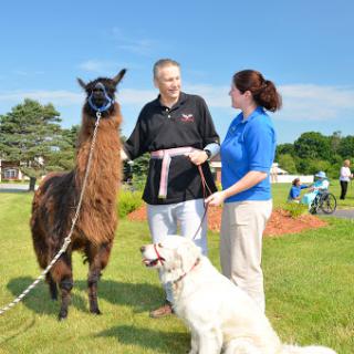 A man and a woman interact with a llama and a dog during an outdoor pet therapy event.
